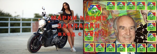 шишки Куйбышев