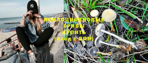 стаф Ладушкин