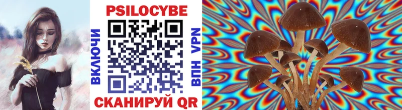 Галлюциногенные грибы мицелий  Купить закладки  Нижнекамск 