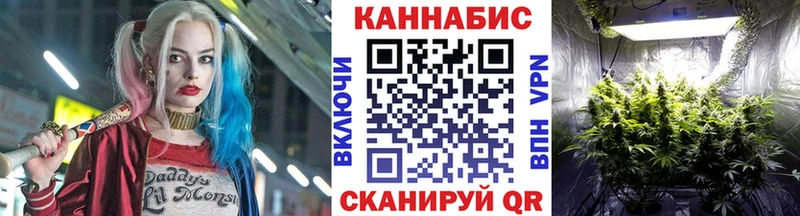 Купить закладки  Нижнекамск  Каннабис марихуана 